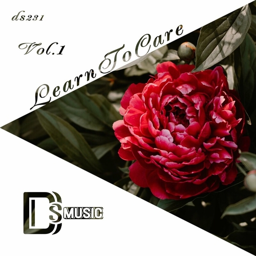 VA - Learn to Care, Vol. 1 [DS231]